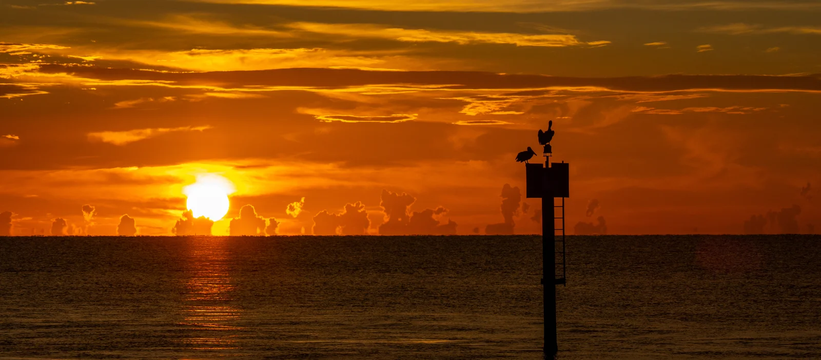 sunset over the gulf of mexico 1767007869112